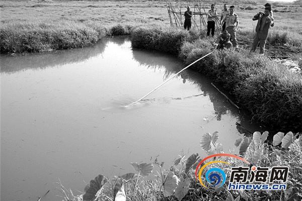 海口云龙9岁男孩溺水身亡 同行小伙伴慌了没求救