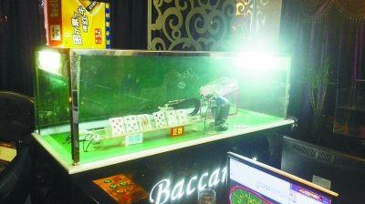 "庄家"竟是机器人秦淮警方捣毁一"高科技"赌场,一年赌资超亿元本报讯