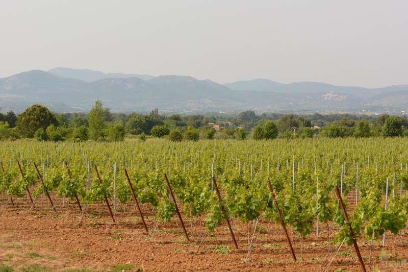 ��������ȫ���л�������ֲ��ͷ��