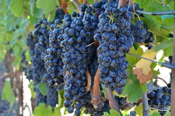 21���͵����Ѿ������������