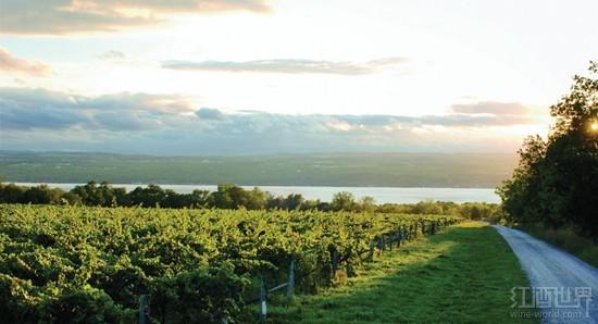 ����AVA����Ȥ̸