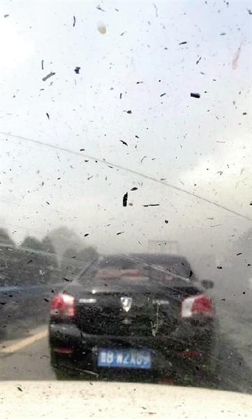 �հѽո�Ũ�̵�· �����������𳵻�2��6��