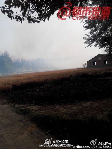 ԭ�����������ͷ�Ҷ��Ż� һλ�Ȼ����������