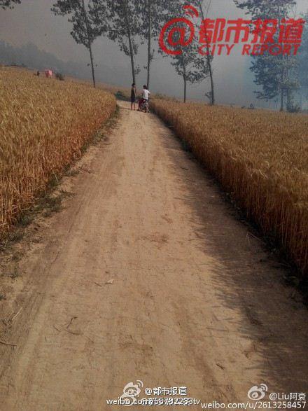 ԭ�����������ͷ�Ҷ��Ż� һλ�Ȼ����������