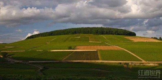 ���޵ڵ������������������ġ�ȫ��Ψһ��