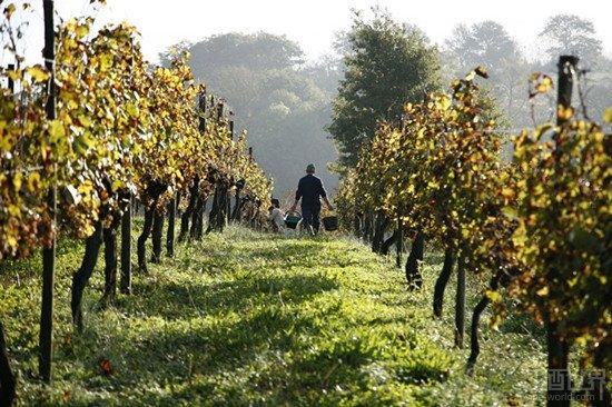 �������������Ȩʹ���µ�����Ʒ�֣�