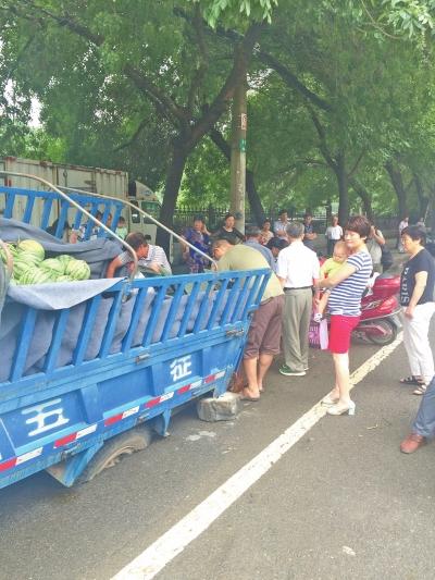 中牟瓜农3000斤西瓜被路“坑”市民帮卖瓜