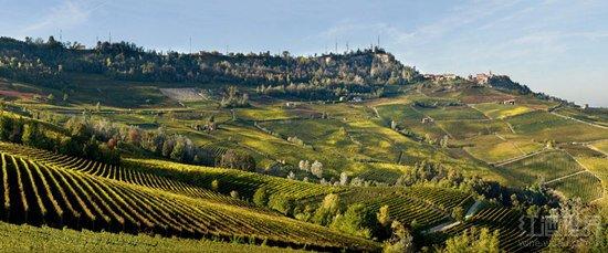 谈谈历史,聊聊酒——巴罗洛的王者之路