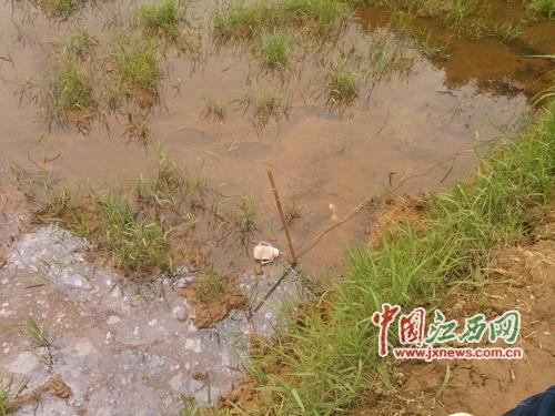 src="http:///0/13/03/35/13033501_770740.jpg"