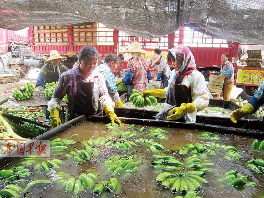 �����㽶�չ����ձ���� �����0.6Ԫ/����(��ͼ)