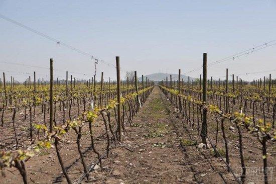 ��¶��ׯ����ȫ���������԰ӵ����