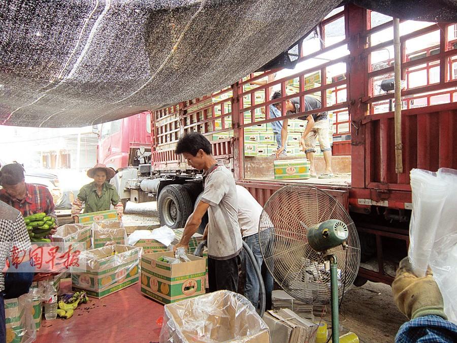 �����㽶�չ����ձ���� �����0.6Ԫ/����(��ͼ)