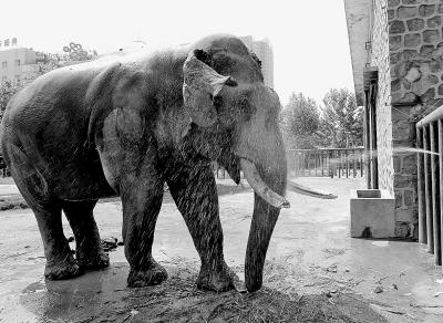 ֣�ݶ���԰�����񡱶ѱ�������ϱ���