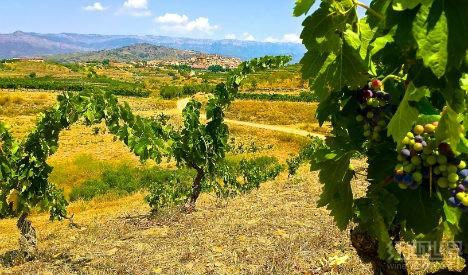 ���������Ѿ�ʮ������