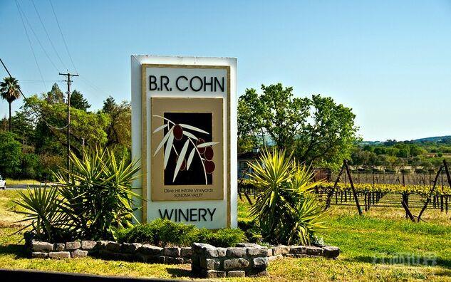 杜比兄弟经纪人将出售索诺玛的酒庄