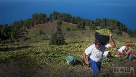 ���������Ѿ�ʮ������