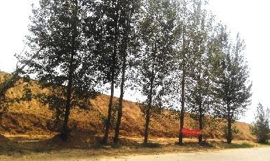 ֣��һ��ׯ����������ɽ�� ��������������Ǯ