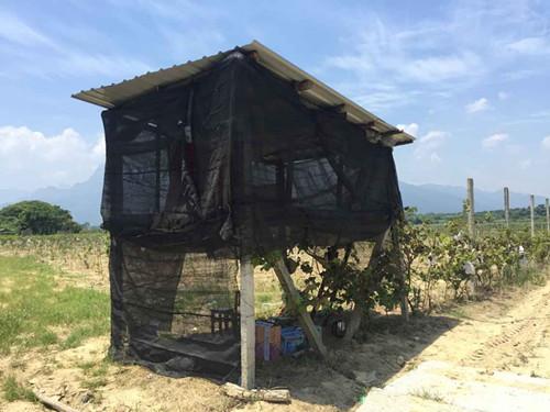 ����ҹ����԰������԰��ү �����ѿ��жԷ�(ͼ)