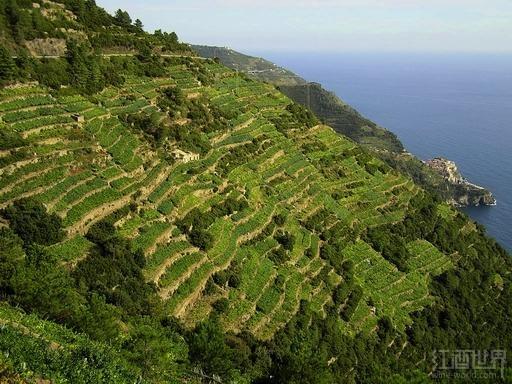 ���������������������԰