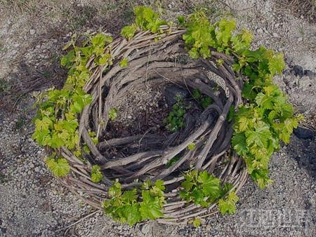 ���������������������԰