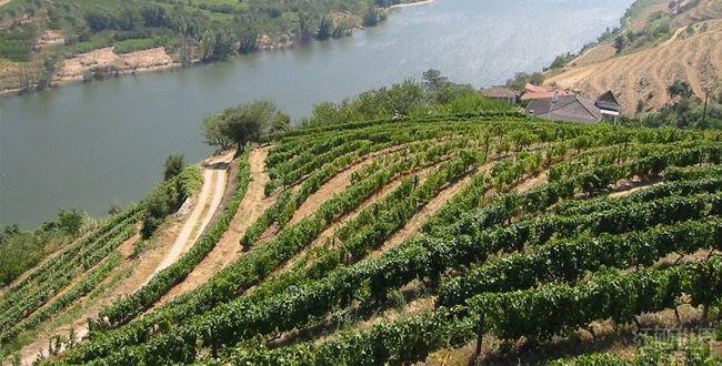 ���������������������԰