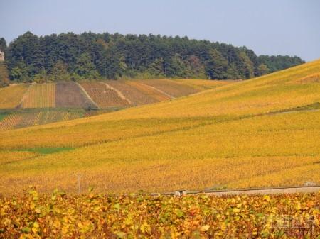 ���������������������԰