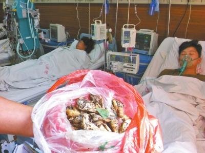 巩义采食野蘑菇一家四口被毒倒 抢救四天未脱险