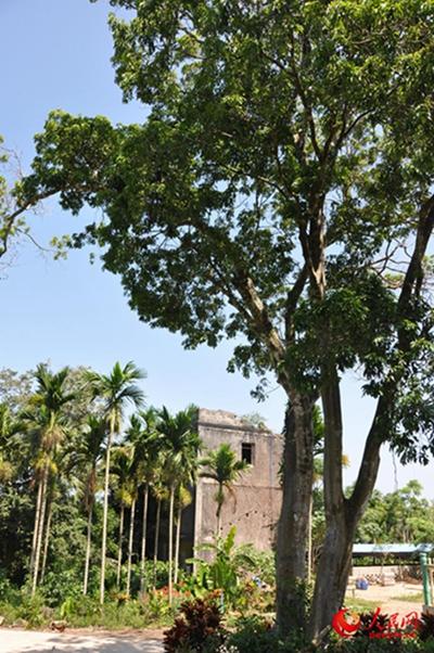 �������졢�������Ǹ��̹��޴��ڼ��������彨����¥��ַ���Աߴִ����֦��