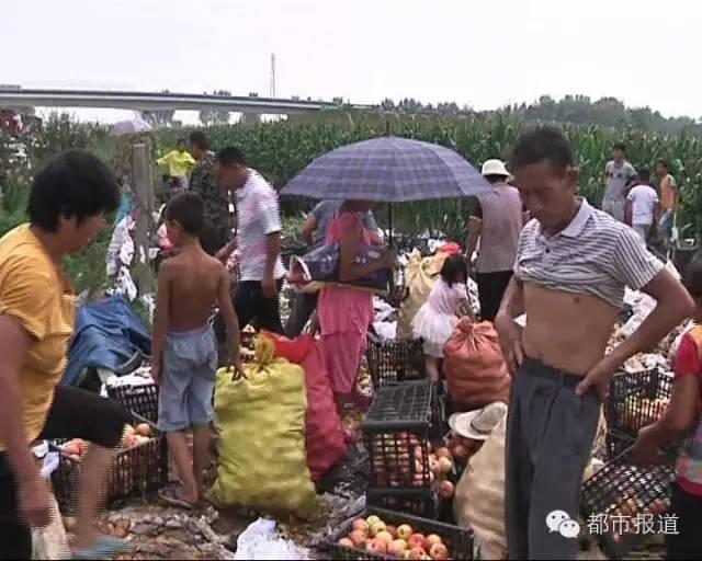 ���첻�����������������㷭������ƻ����������