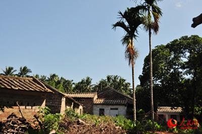 ����԰���ò