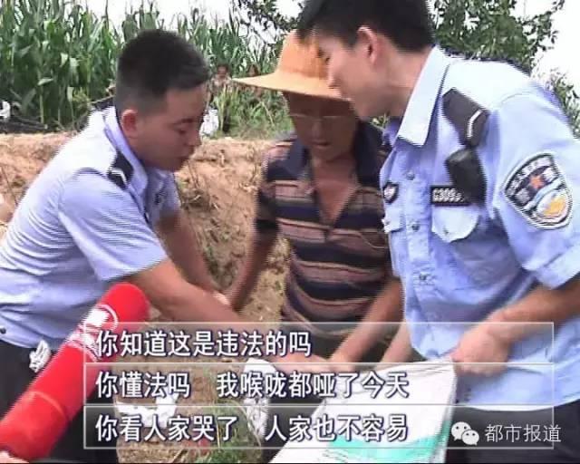 ���첻�����������������㷭������ƻ����������