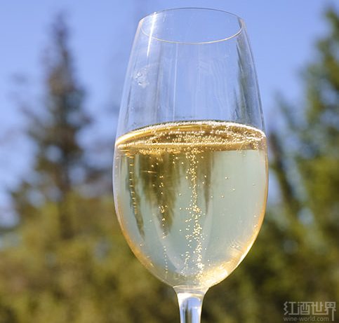 �����ĸ�Ĺ���