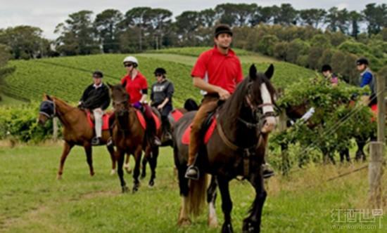 Ī���ٰ뵺��������������