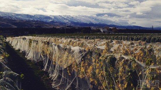 2015�����������������