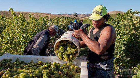 2015�����������������