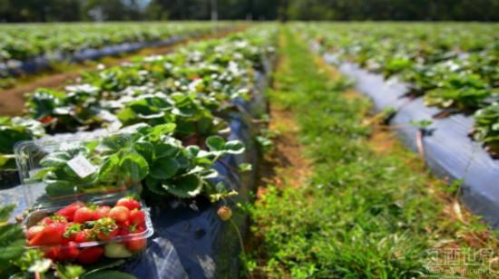 Ī���ٰ뵺��������������