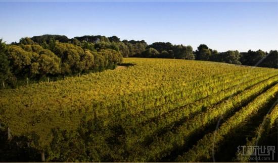 Ī���ٰ뵺��������������