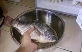 14����ɡ�С���㡢��ϺƤ�����׵�һ��ĸ��ƺ���Ʒ�������ܷ��(���ܷ�ƿ)�����������Ĵ�����룬��������������Ϳ�������