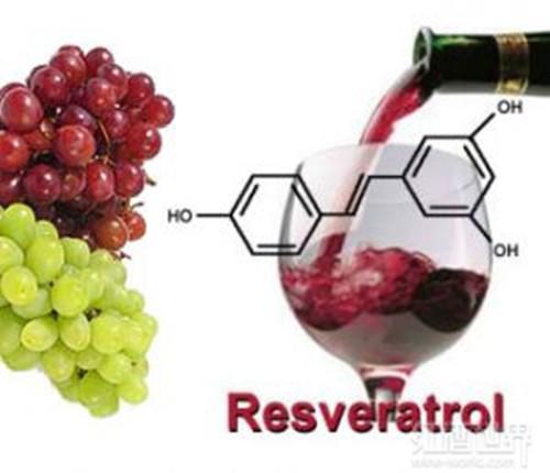 摄入白藜芦醇,是吃药好,还是喝点葡萄酒好?
