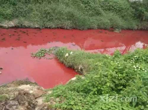 广东惠州现一条污染血河 网友喊环保局长来游泳