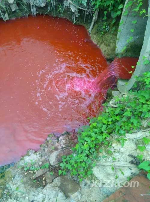 广东惠州现一条污染血河 网友喊环保局长来游泳