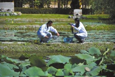 水务局组织探访官厅水库黑土洼湿地。京华时报记者王海欣摄