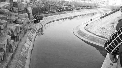 南阳社旗两起见义勇为待遇咋不同 呼吁统一标准