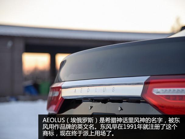 ���鶫��A9