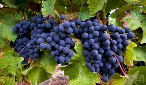 ��ϼ�飺����ȫ�������еĺ����Ѿ�