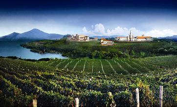 蓬莱:标准化引领葡萄产业迈入“精耕时代”