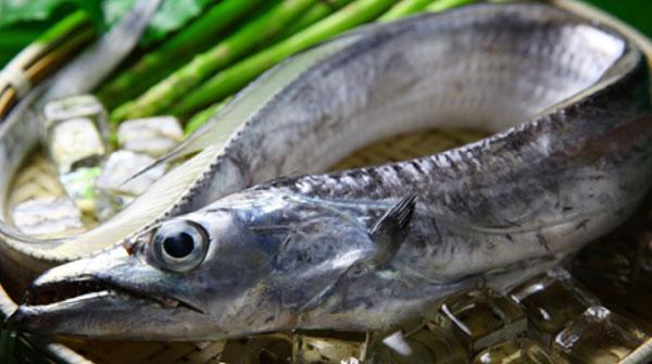图说:长江刀鱼味道鲜美,肉感极佳.网络图"刀鱼这么早就开始卖啦?