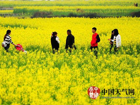 �������ܵǳ� �Ϸ������⡰��ն���ֵػ�תѩ�����б�ʱ�������ѩ���ʴ󣬺��ؾ͸�Ϊ �ֵ���ѩ��