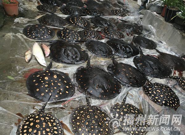 ��ͬδ���ڷ����ϵ硡�⻧������������ʧ�ϰ���