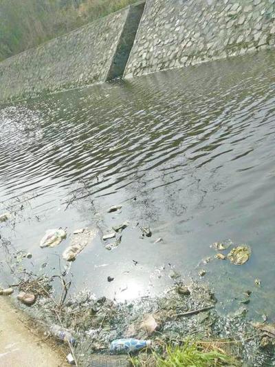 信阳一养猪场污水排放惹祸 下游鱼死千斤菜难浇